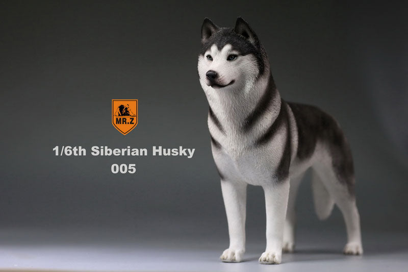 1/6 Siberian Husky 005　