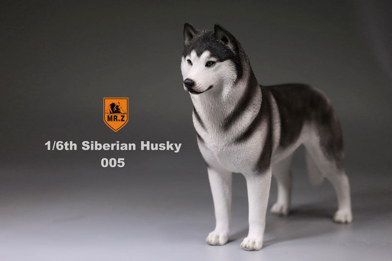 1/6 Siberian Husky 005 - Solaris Japan