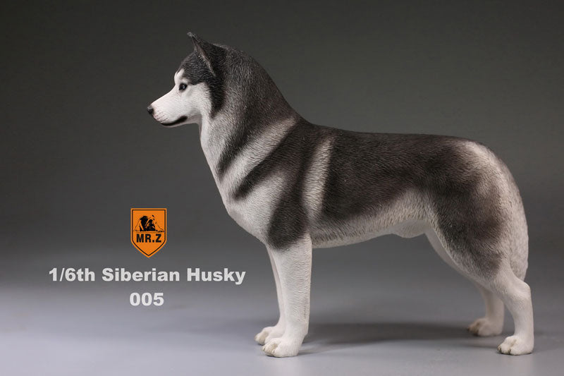 1/6 Siberian Husky 005　