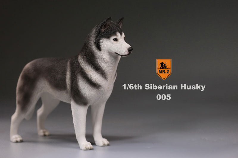 1/6 Siberian Husky 005　