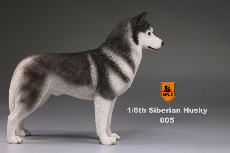 1/6 Siberian Husky 005　