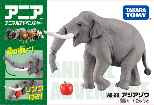 Ania AS-33 Asian Elephant