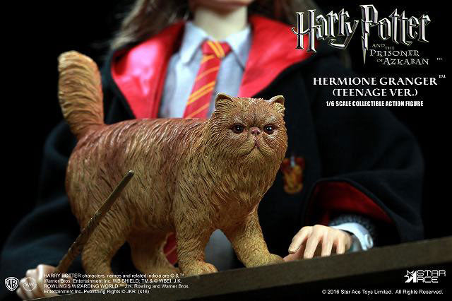 My Favorite Movie Series 1/6 Hermione Teenage Ver. (School Uniform)　