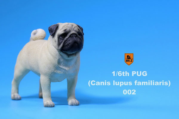 1/6 Pug 002　