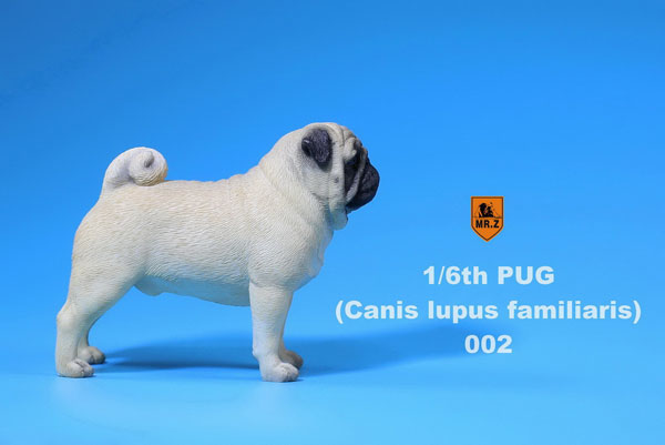 1/6 Pug 002　