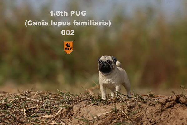 1/6 Pug 002　