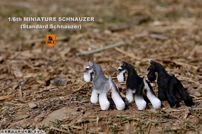 1/6 Miniature Schnauzer 001　