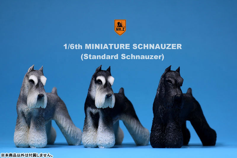 1/6 Miniature Schnauzer 001　