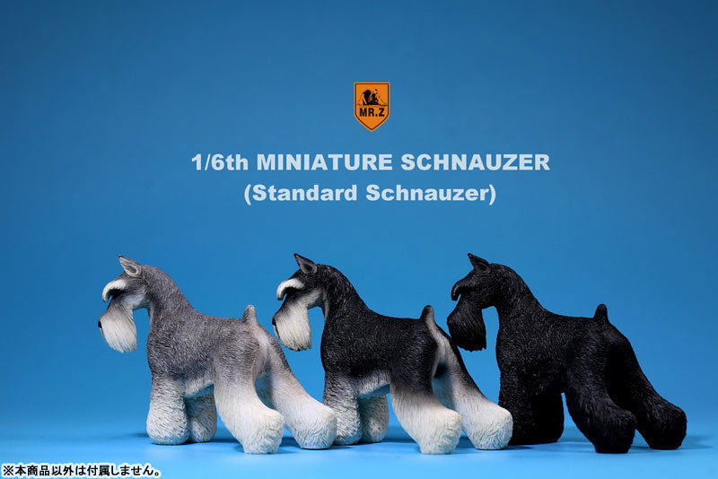 1/6 Miniature Schnauzer 003　