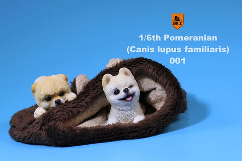 1/6 Miniature Pomeranian Puppies 001　