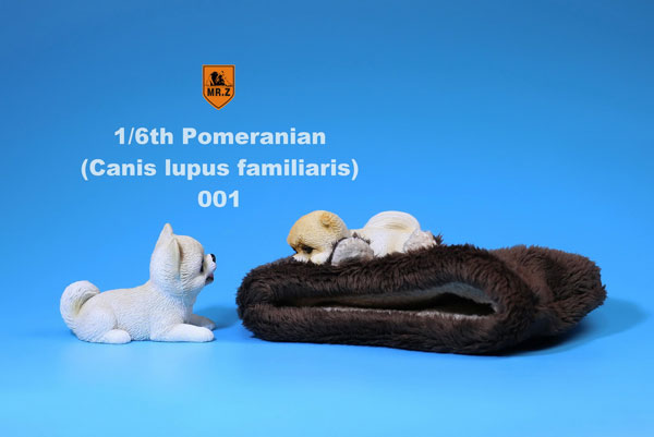1/6 Miniature Pomeranian Puppies 001　