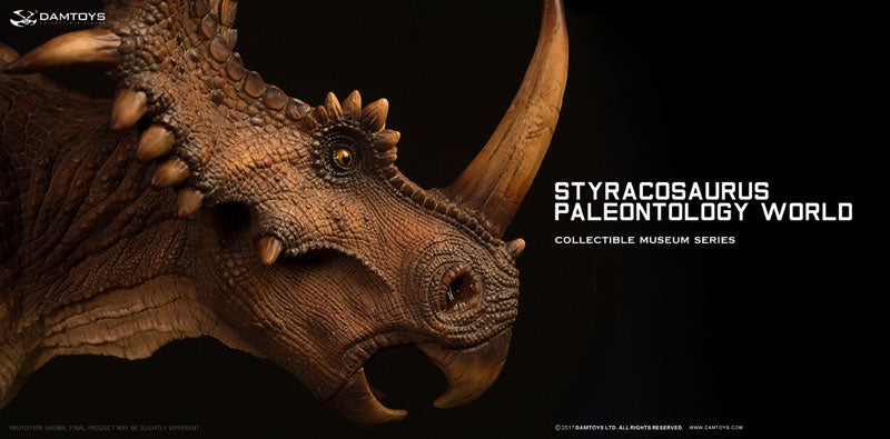 Museum Series - Styracosaurus Bust A / Brown