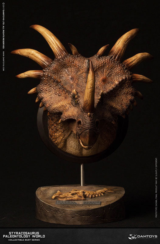 Museum Series - Styracosaurus Bust A / Brown