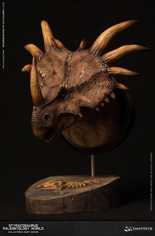 Museum Series - Styracosaurus Bust A / Brown