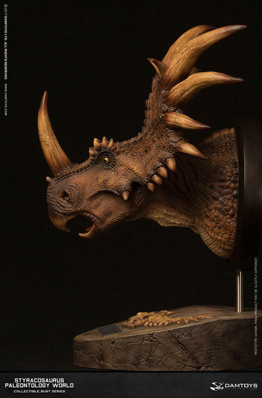 Museum Series - Styracosaurus Bust A / Brown