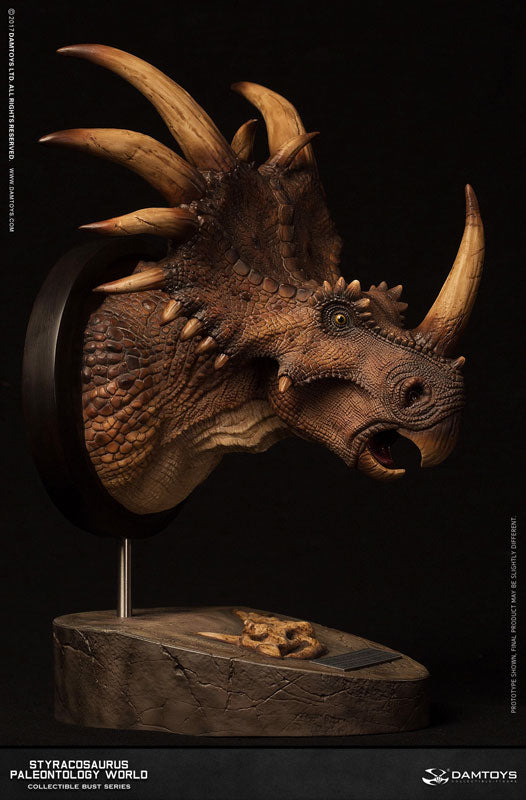 Museum Series - Styracosaurus Bust A / Brown