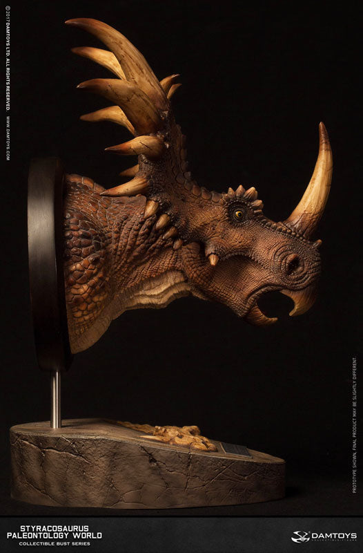 Museum Series - Styracosaurus Bust A / Brown