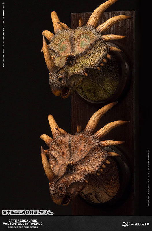 Museum Series - Styracosaurus Bust A / Brown