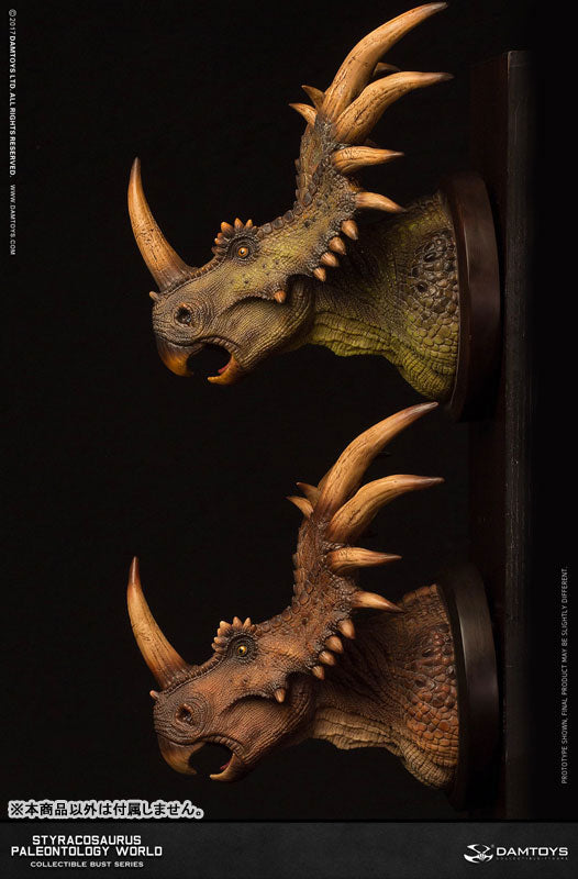 Museum Series - Styracosaurus Bust A / Brown