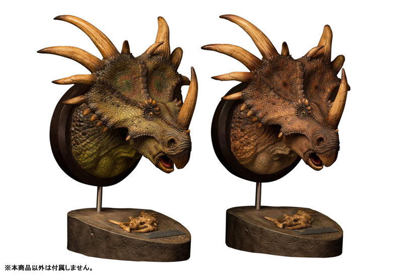 Museum Series - Styracosaurus Bust A / Brown