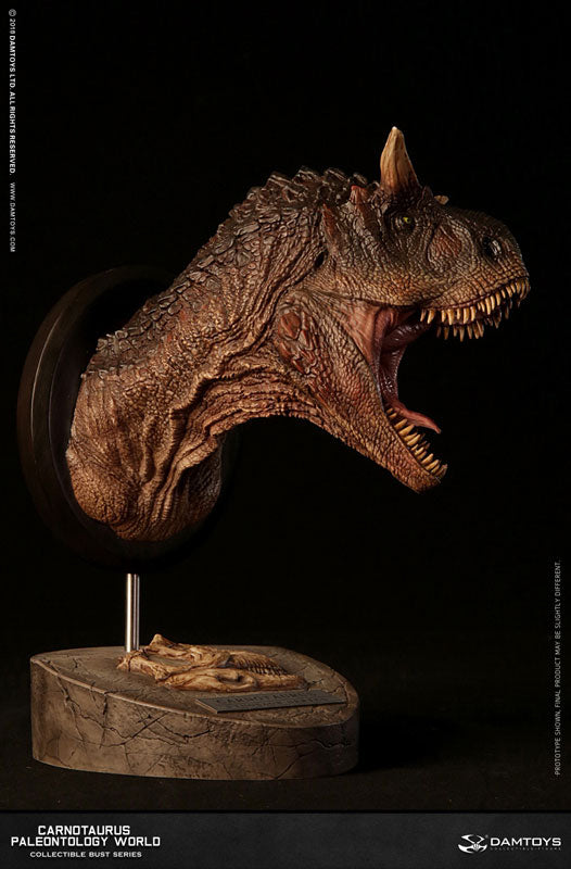 Museum Collection Series - Carnotaurus (Male) Bust B(Provisional Pre-order)