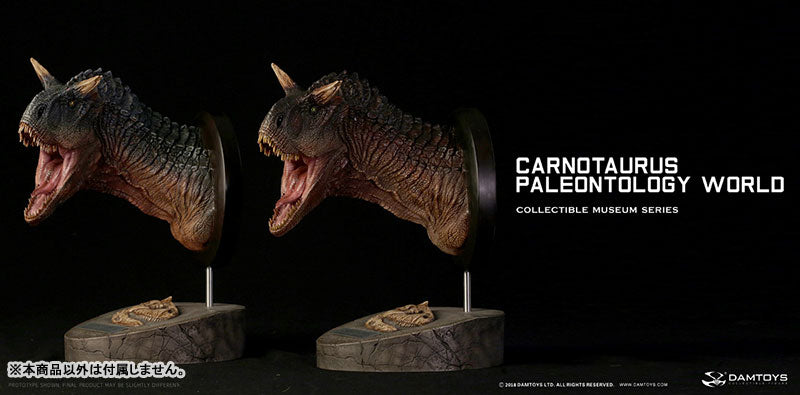 Museum Collection Series - Carnotaurus (Male) Bust B(Provisional Pre-order)