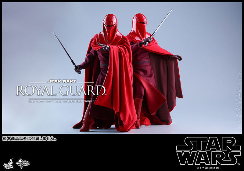 Movie Masterpiece "Star Wars Episode VI: Return of the Jedi" 1/6 Scale Figure: Royal Guard　