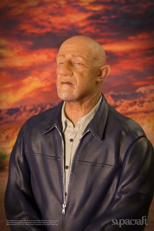 Mike Ehrmantraut - Breaking Bad