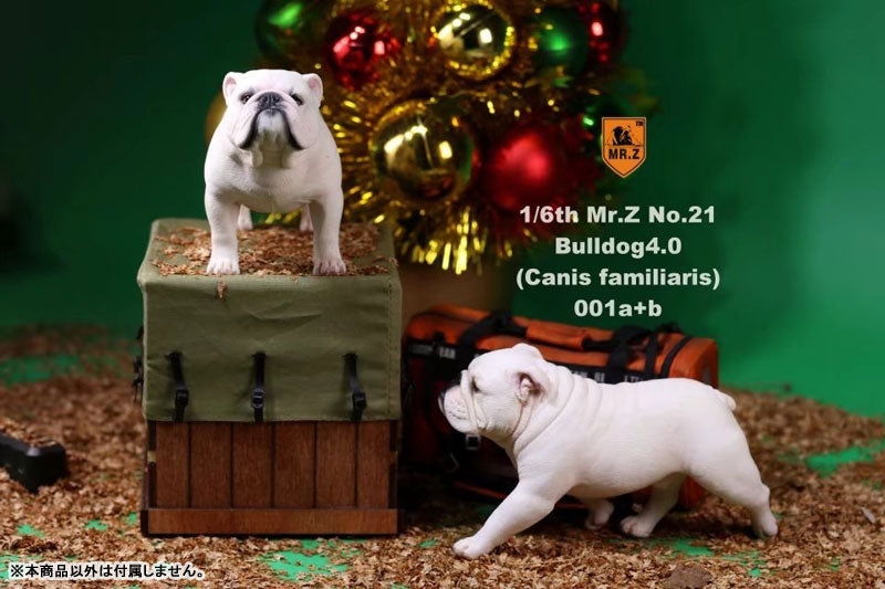 1/6 Bulldog Statue 4.0 2Figure Set / White　