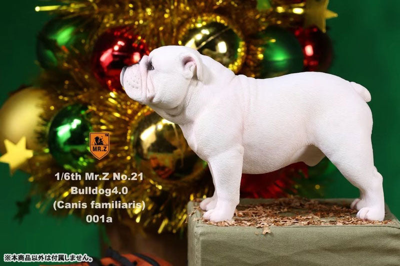 1/6 Bulldog Statue 4.0 2Figure Set / White　