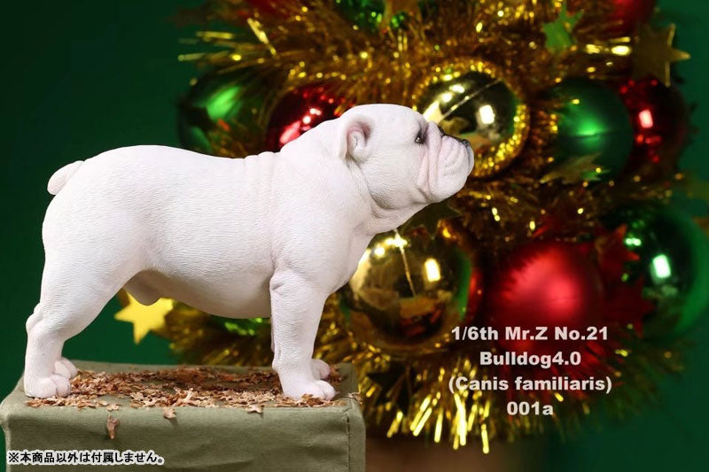 1/6 Bulldog Statue 4.0 2Figure Set / White　