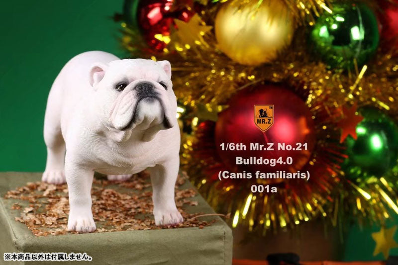 1/6 Bulldog Statue 4.0 2Figure Set / White　