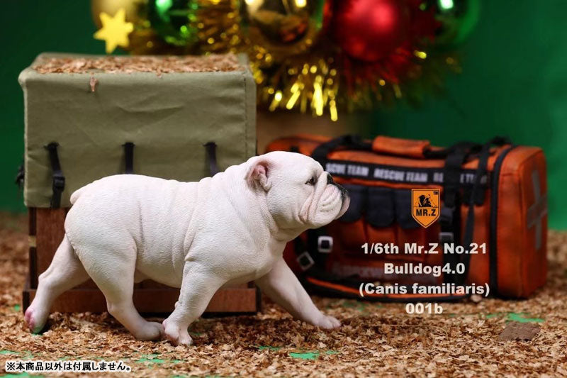 1/6 Bulldog Statue 4.0 2Figure Set / White　