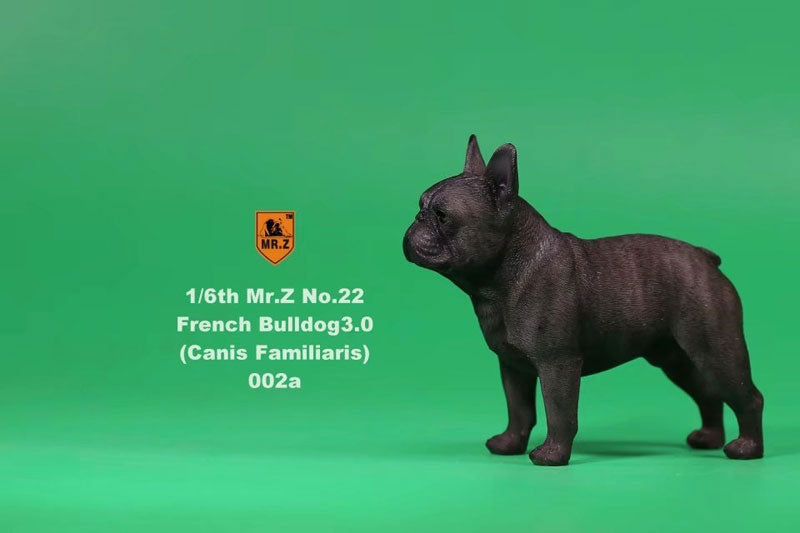 1/6 French Bulldog Statue 3.0 / Tan　