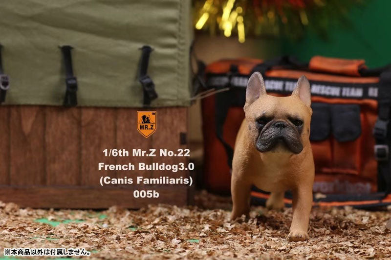 1/6 French Bulldog Statue 3.0 / Red　