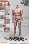 1/6 Real Type Massive Male Body (JX-S02)