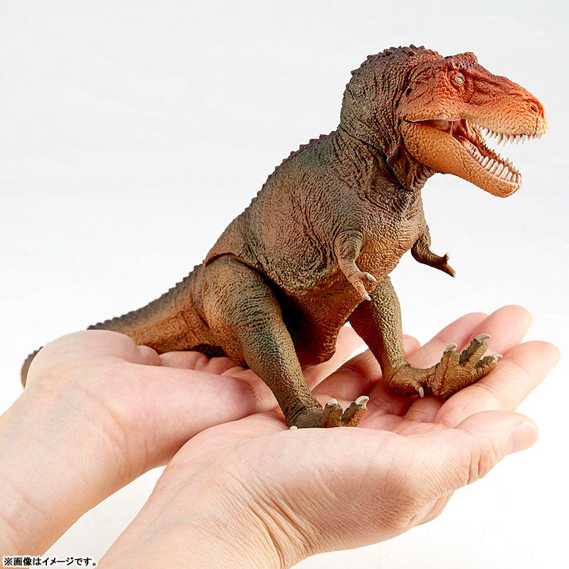 Soft Vinyl Toy Box 018 C Tyrannosaurus (Classic Image Color)