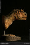 Museum Collection Series - Carnotaurus (Female) Bust A(Provisional Pre-order)