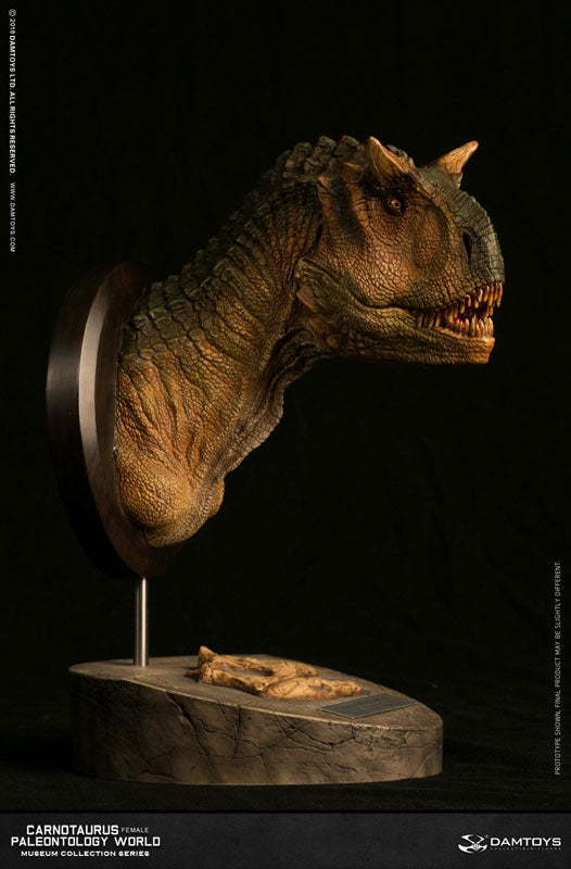 Museum Collection Series - Carnotaurus (Female) Bust A(Provisional Pre-order)