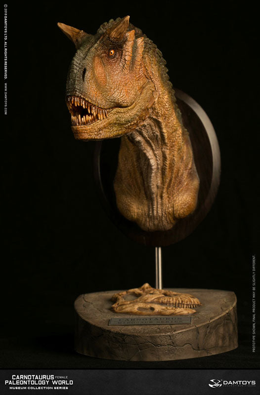 Museum Collection Series - Carnotaurus (Female) Bust A(Provisional Pre-order)