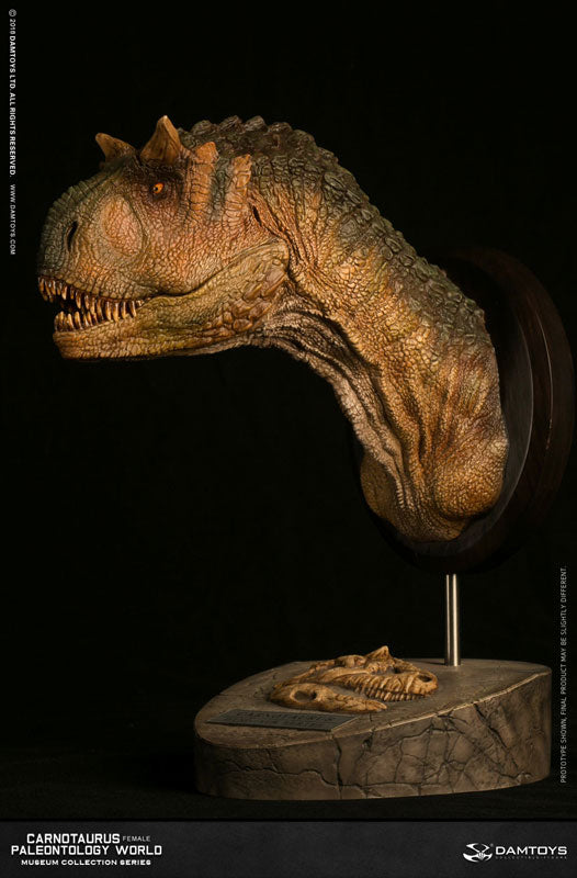 Museum Collection Series - Carnotaurus (Female) Bust A(Provisional Pre-order)