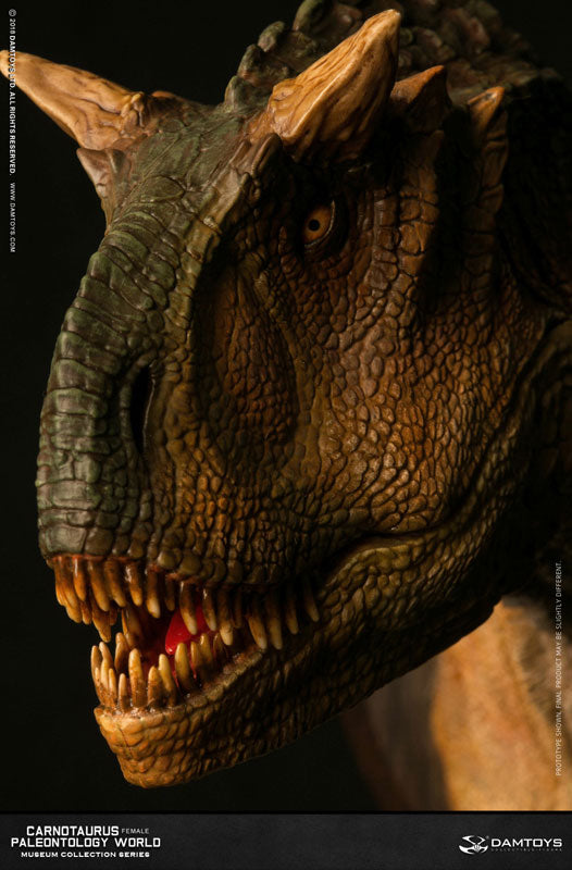 Museum Collection Series - Carnotaurus (Female) Bust A(Provisional Pre-order)