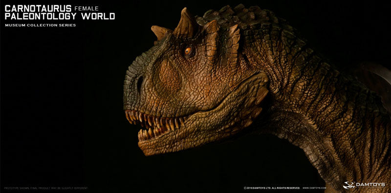 Museum Collection Series - Carnotaurus (Female) Bust A(Provisional Pre-order)