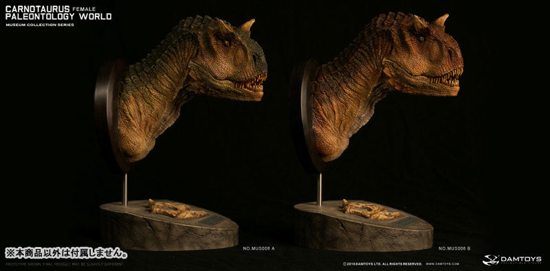 Museum Collection Series - Carnotaurus (Female) Bust A(Provisional Pre-order)