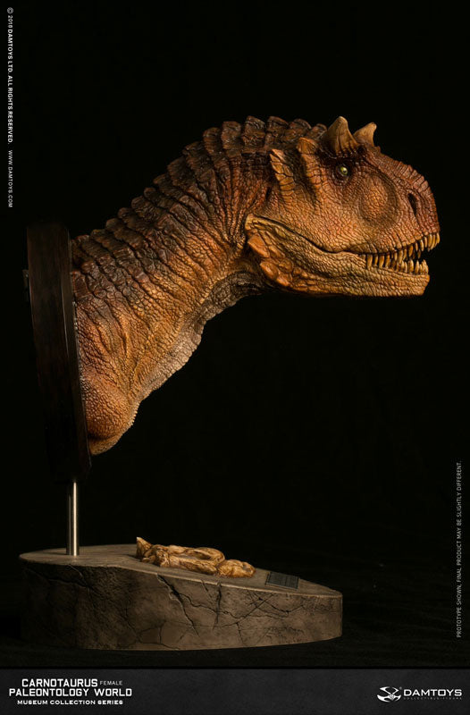 Museum Collection Series - Carnotaurus (Female) Bust B(Provisional Pre-order)