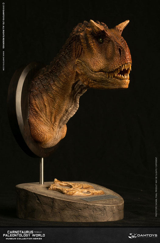 Museum Collection Series - Carnotaurus (Female) Bust B(Provisional Pre-order)