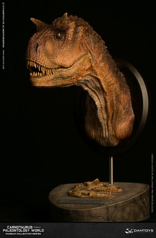 Museum Collection Series - Carnotaurus (Female) Bust B(Provisional Pre-order)