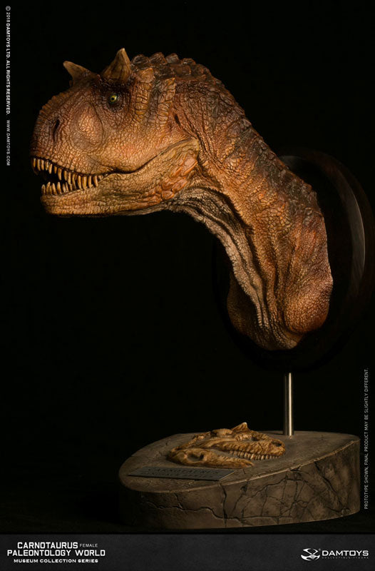 Museum Collection Series - Carnotaurus (Female) Bust B(Provisional Pre-order)