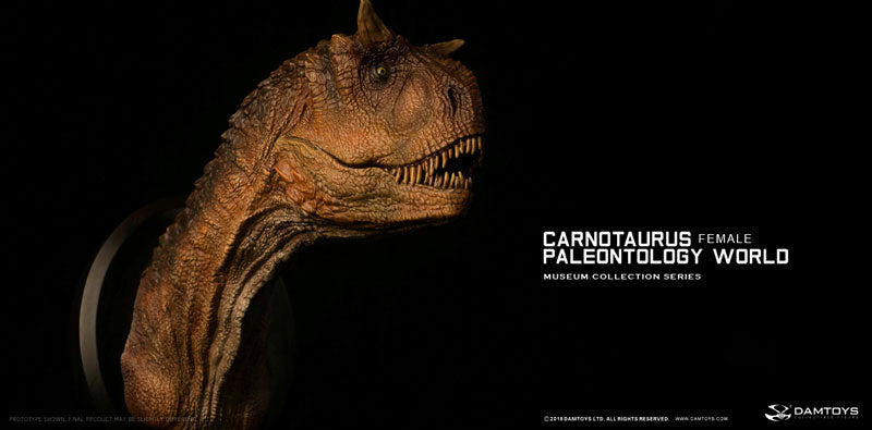 Museum Collection Series - Carnotaurus (Female) Bust B(Provisional Pre-order)