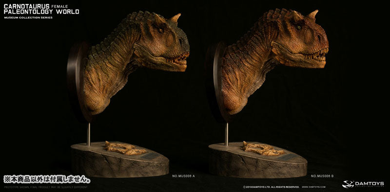 Museum Collection Series - Carnotaurus (Female) Bust B(Provisional Pre-order)